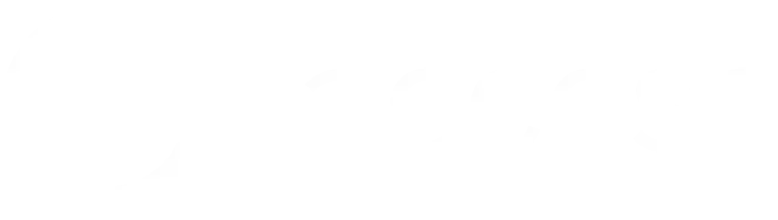 The Access Group